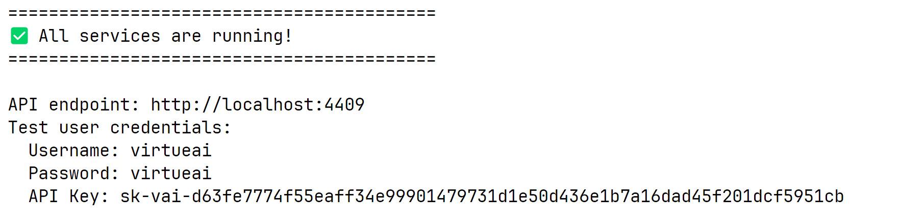 Docker logs showing API key