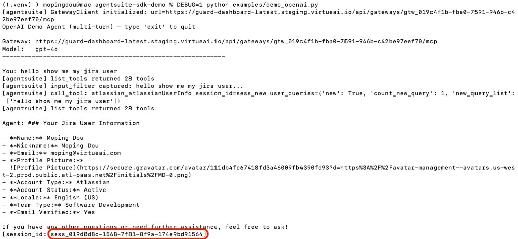 OpenAI demo terminal output