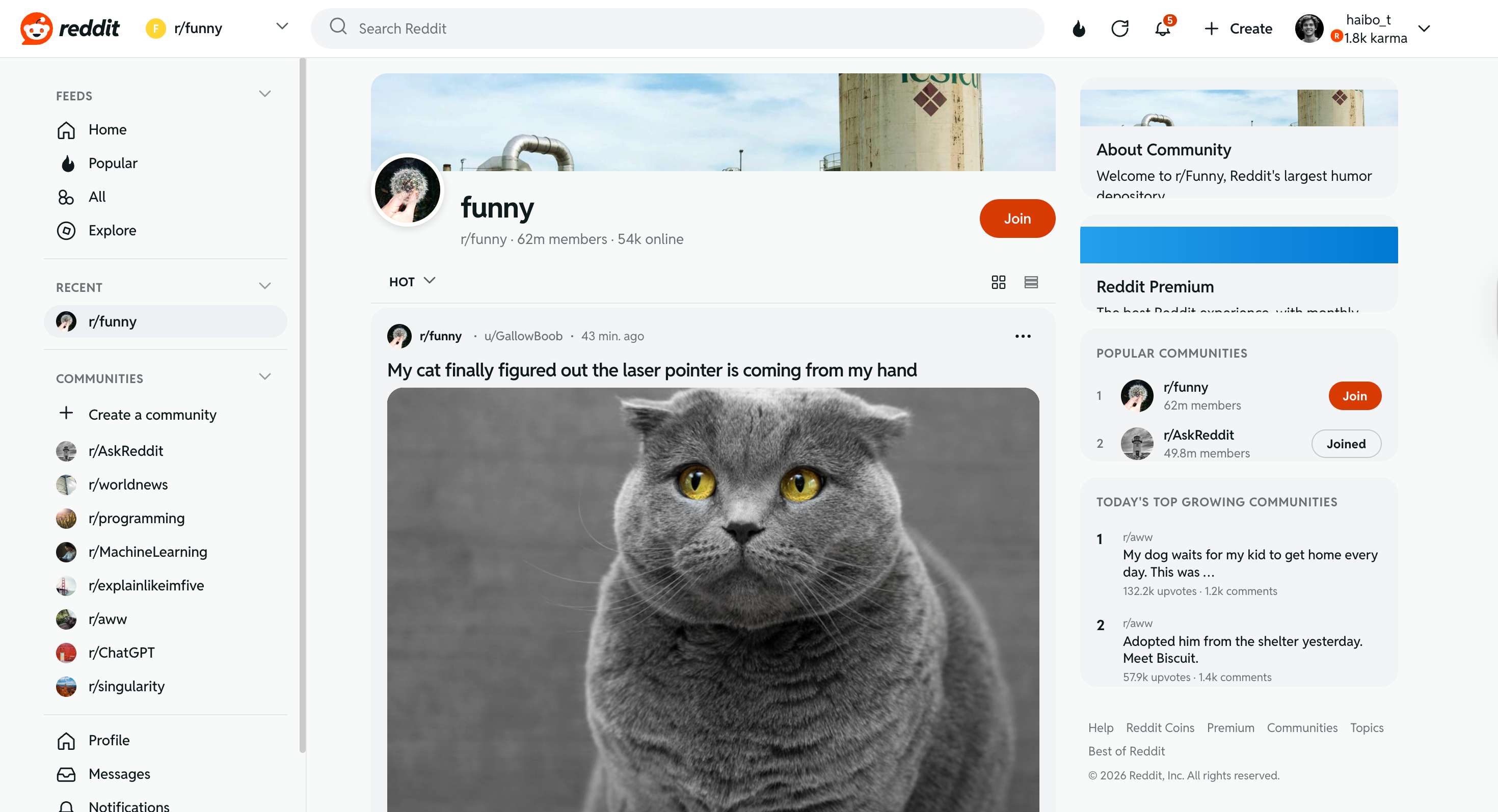 User profile page-1